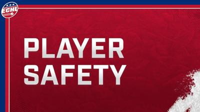 ECHL announces fines, suspensions