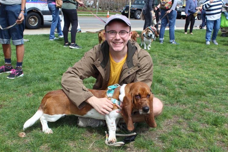 11 very good dogs we met at the Mets Puppy Parade 