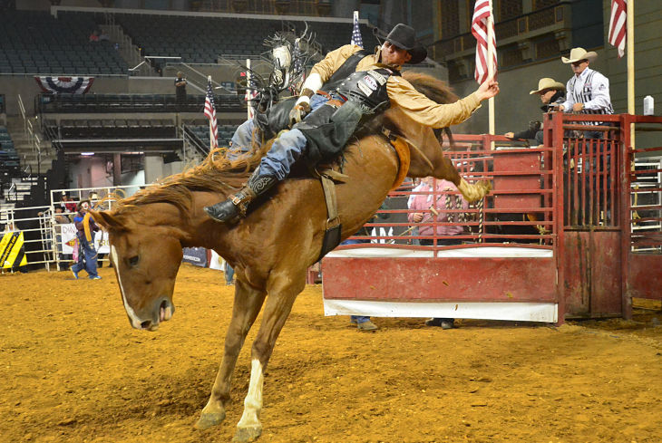 boardwalk rodeo