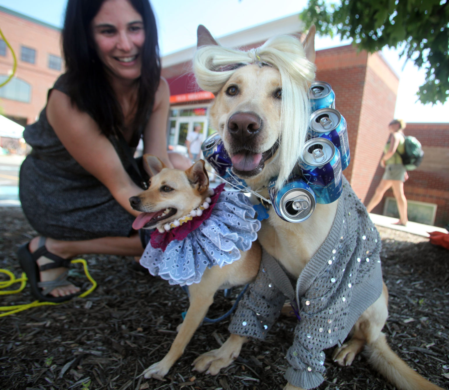 Dog clearance gypsy costume