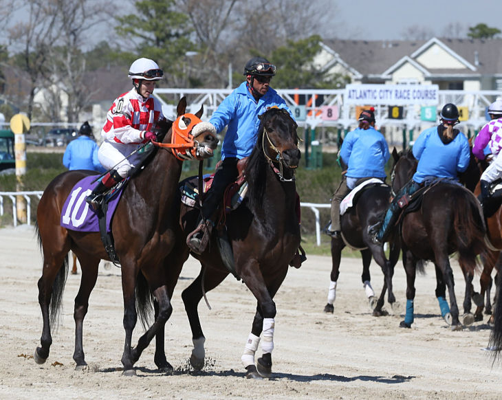 Day at the Races