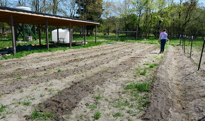 stockton farm