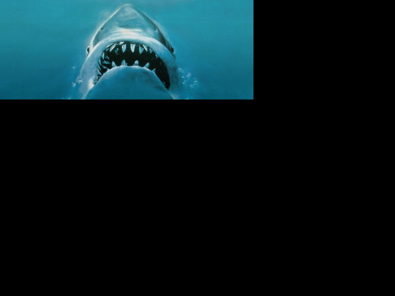 Watch Jaws Online Facebook