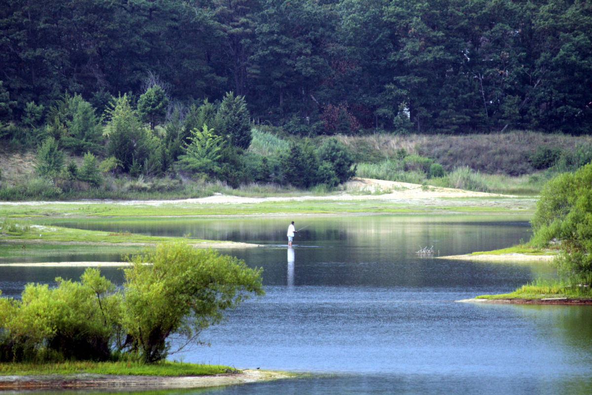 Egg Harbor Township Nature Reserve