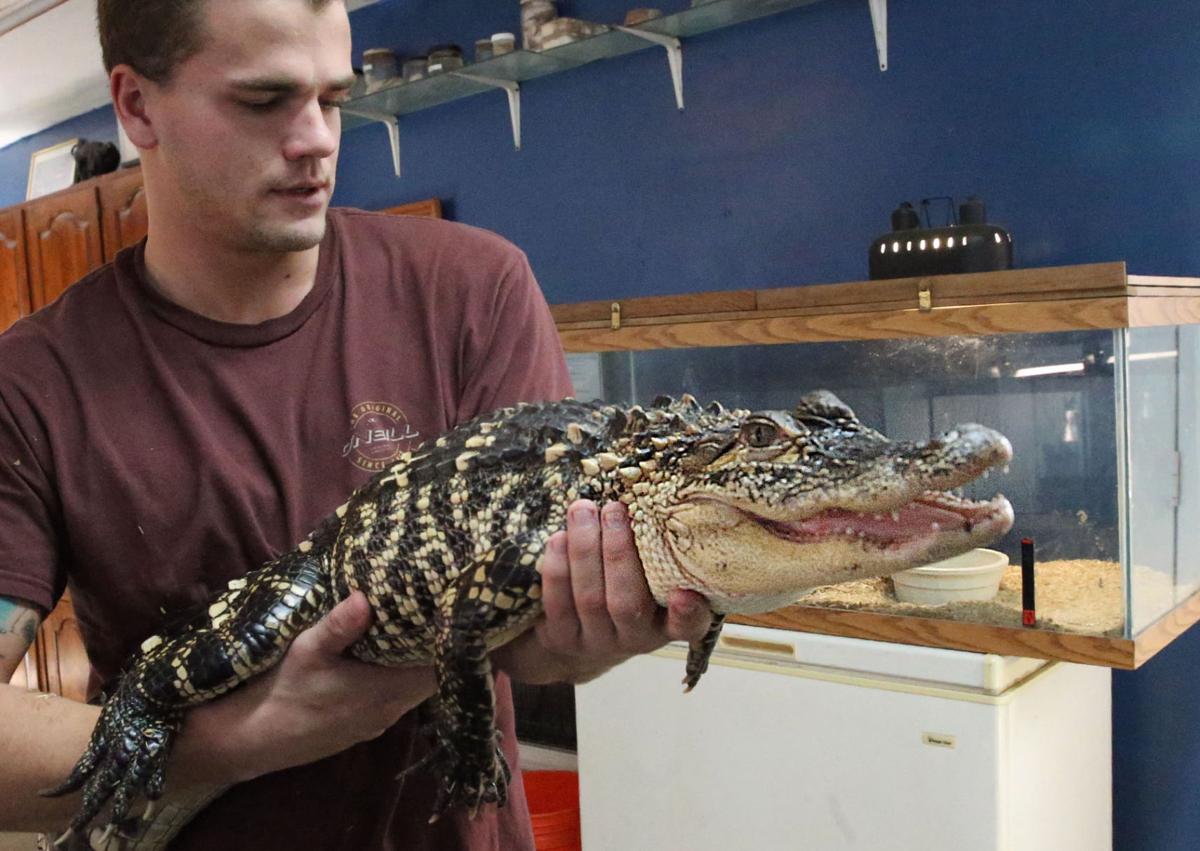NJ Nature Animal Rescue