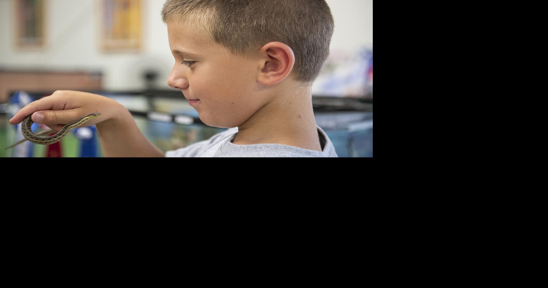 PHOTOS Cape May County 4H Fair