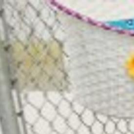 Shelters Work To Euthanize Fewer Animals Get More Adopted Latest Headlines Pressofatlanticcity Com Just 23 dogs and 16 cats were adopted. euthanize fewer animals