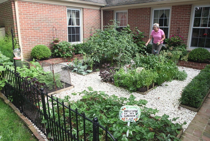 Picture of Green Thumb Garden Club works to draw younger fans to gardening