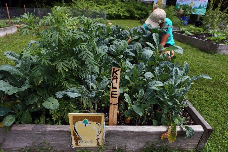 Community Garden in Pleasantville