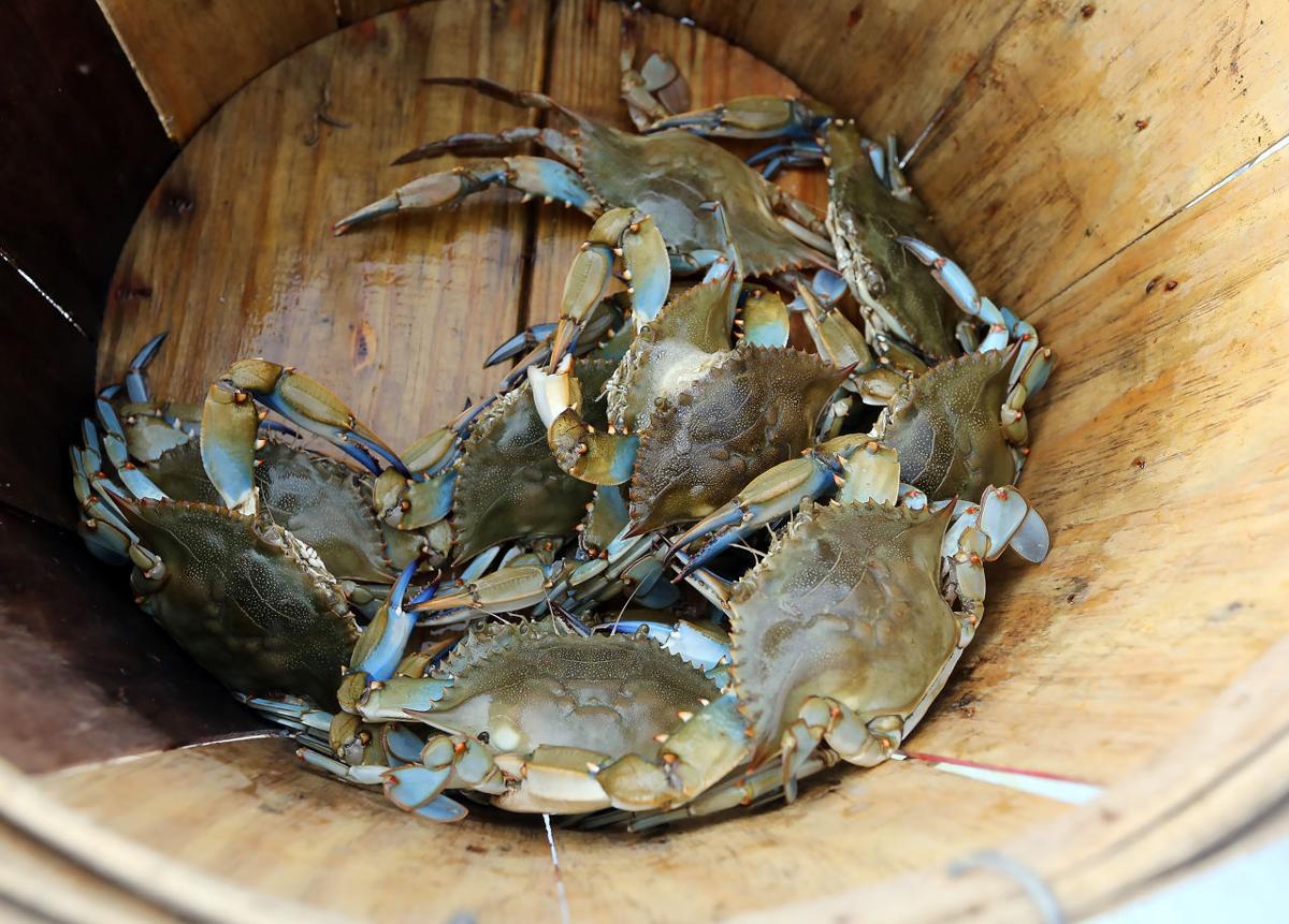 Crabbing at Beaver Dam