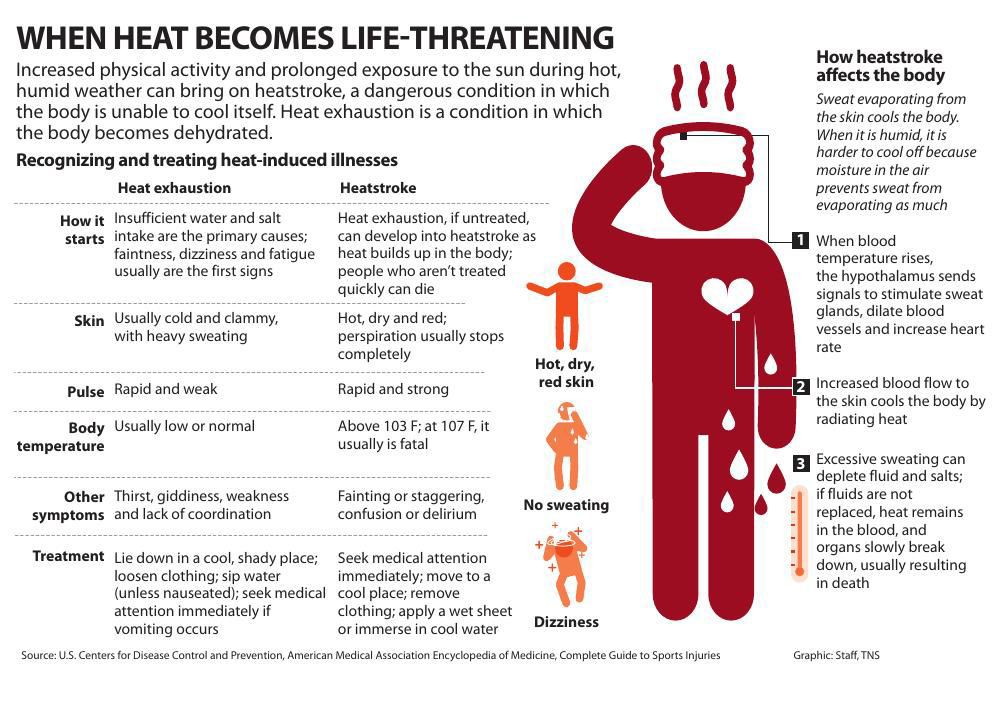 Heat Illness Stroke Graphic