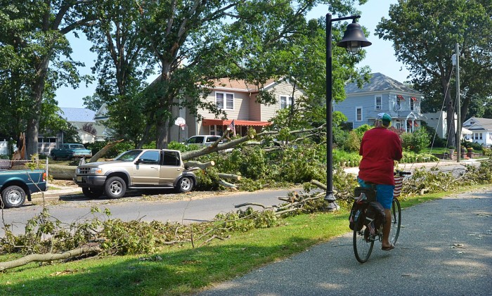 storm cleanup