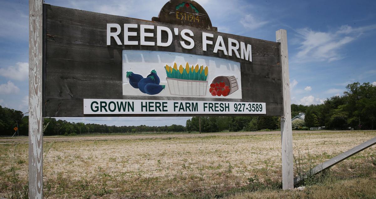 Farm auction marks last harvest for EHT family News