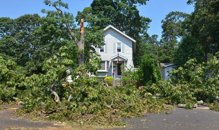 storm cleanup