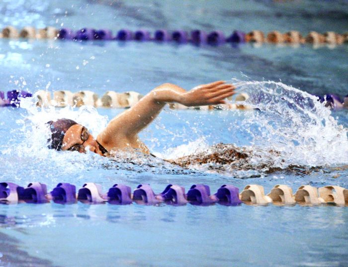 SJ Public A swimming final