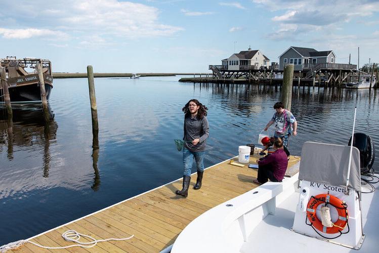 Fish Monitoring Study Gives Students Data to Explore