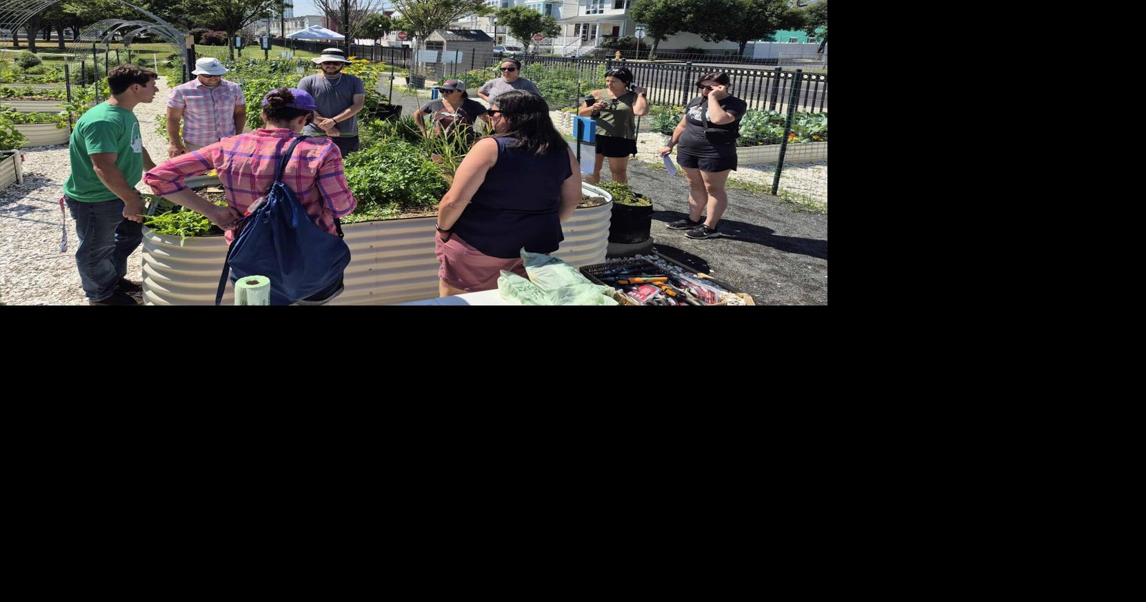 Stockton grant helps local K-12 teachers learn about climate change