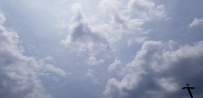 Partly Sunny Haze