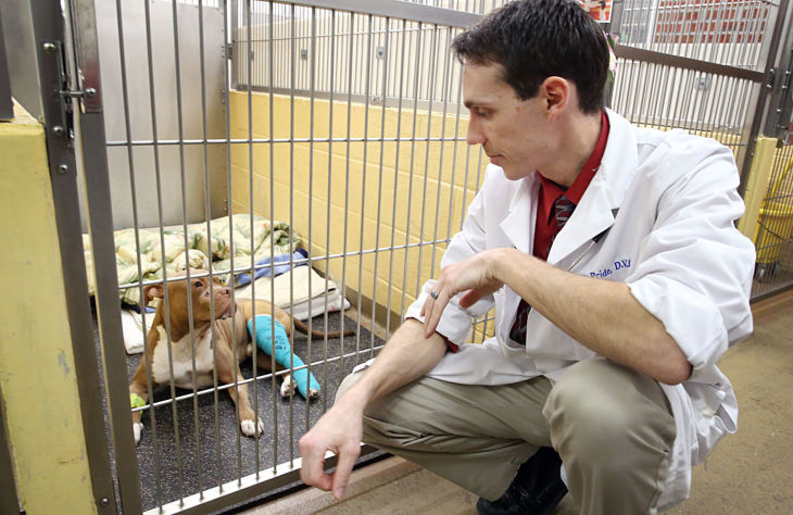 ANIMAL WELFARE