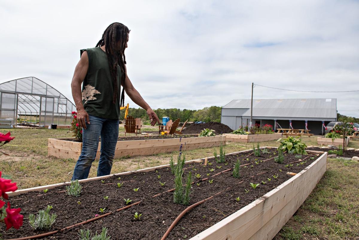 WATCH NOW Produce starts growing again at Reed's Farm in Egg Harbor