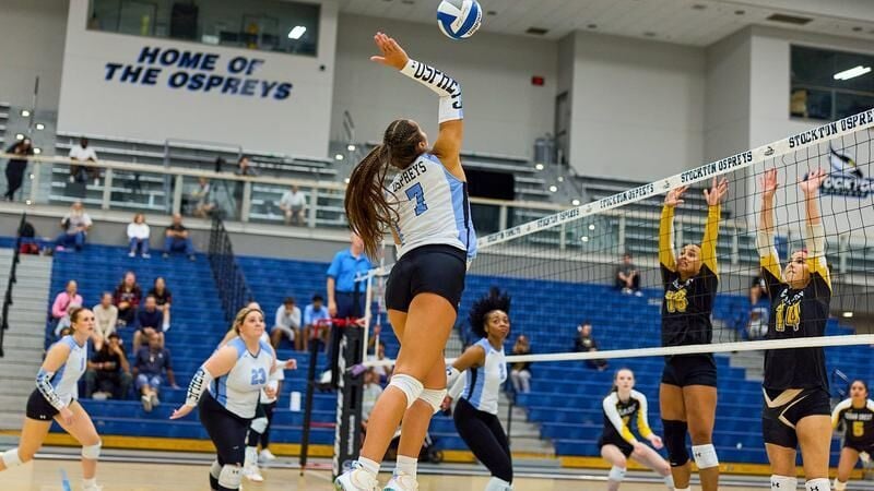 Palmer Named NJAC Player of the Week