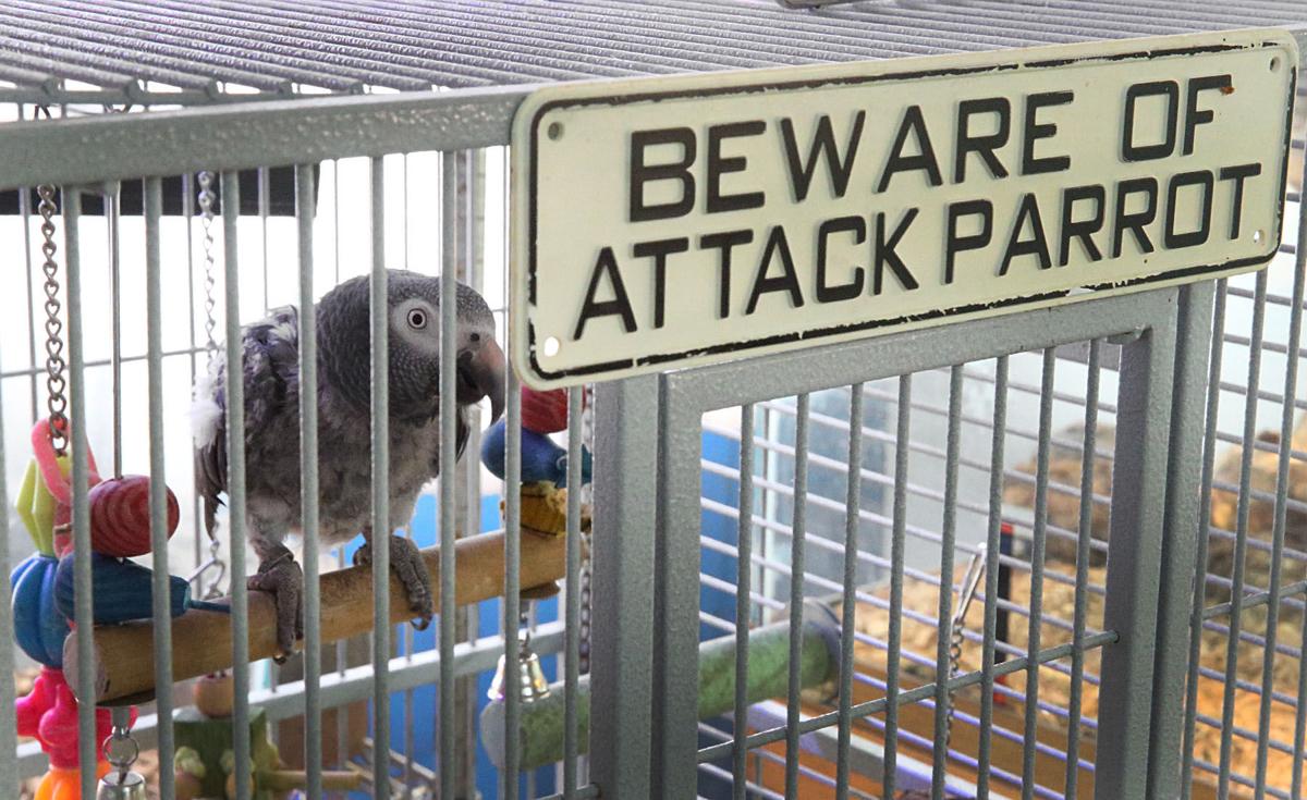 NJ Nature Animal Rescue