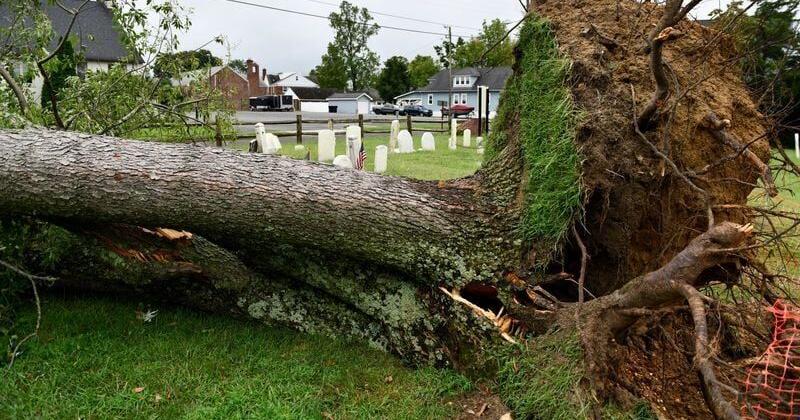 Mantua Storm Wreaks Havoc: Flooding, Blackouts, and Downed Trees