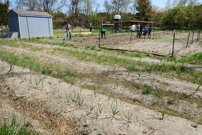 stockton farm