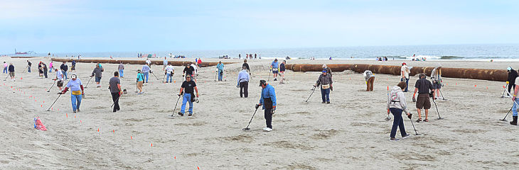 METAL DETECTOR