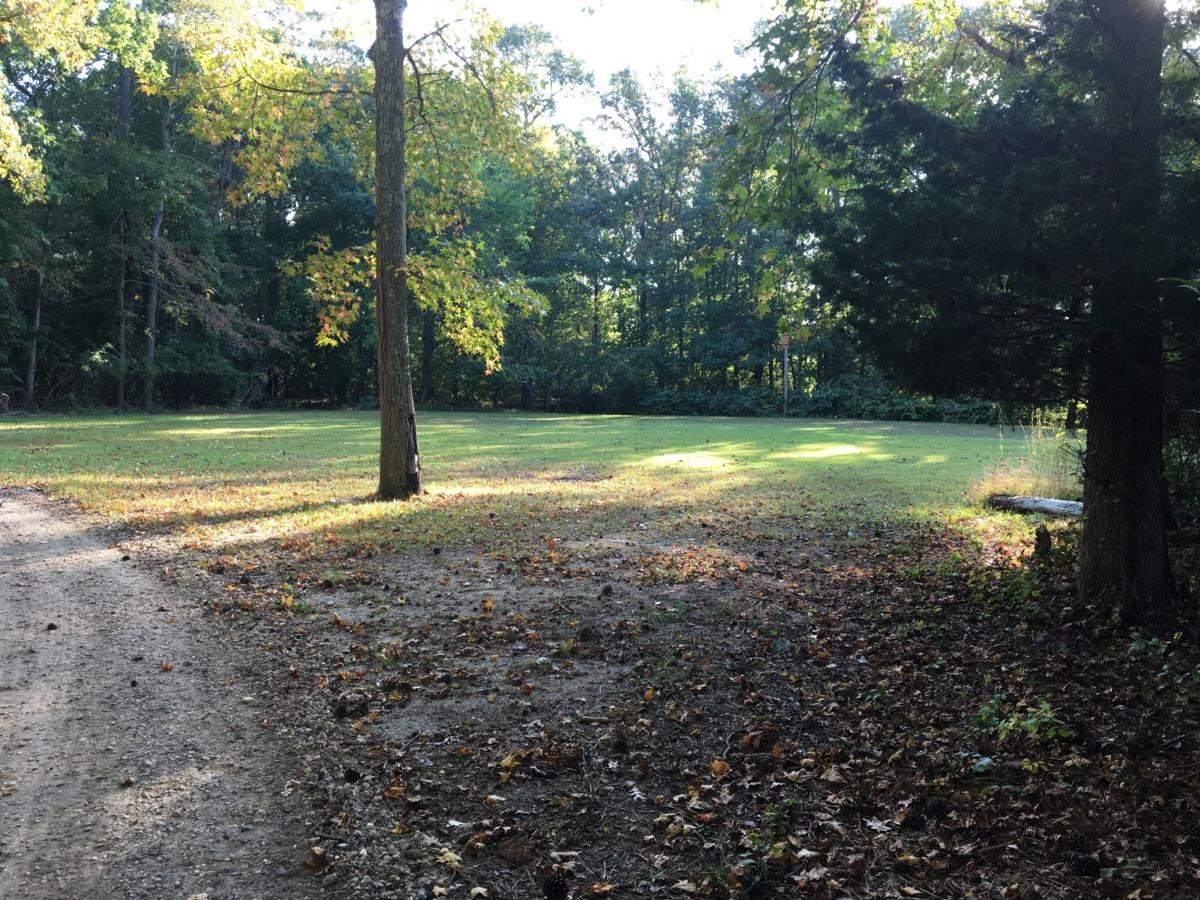 Northfield dog park