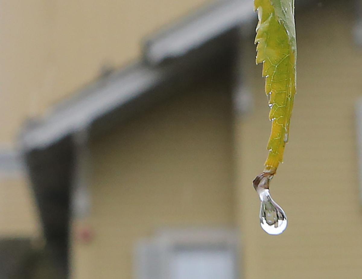 Rainy Day Monday