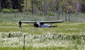 king nummy campground