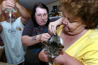 New Sick Pet Can Be Costly But New Jersey Law Protects Buyers Latest News Pressofatlanticcity Com