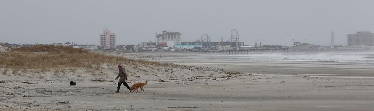 Stella in Ocean City