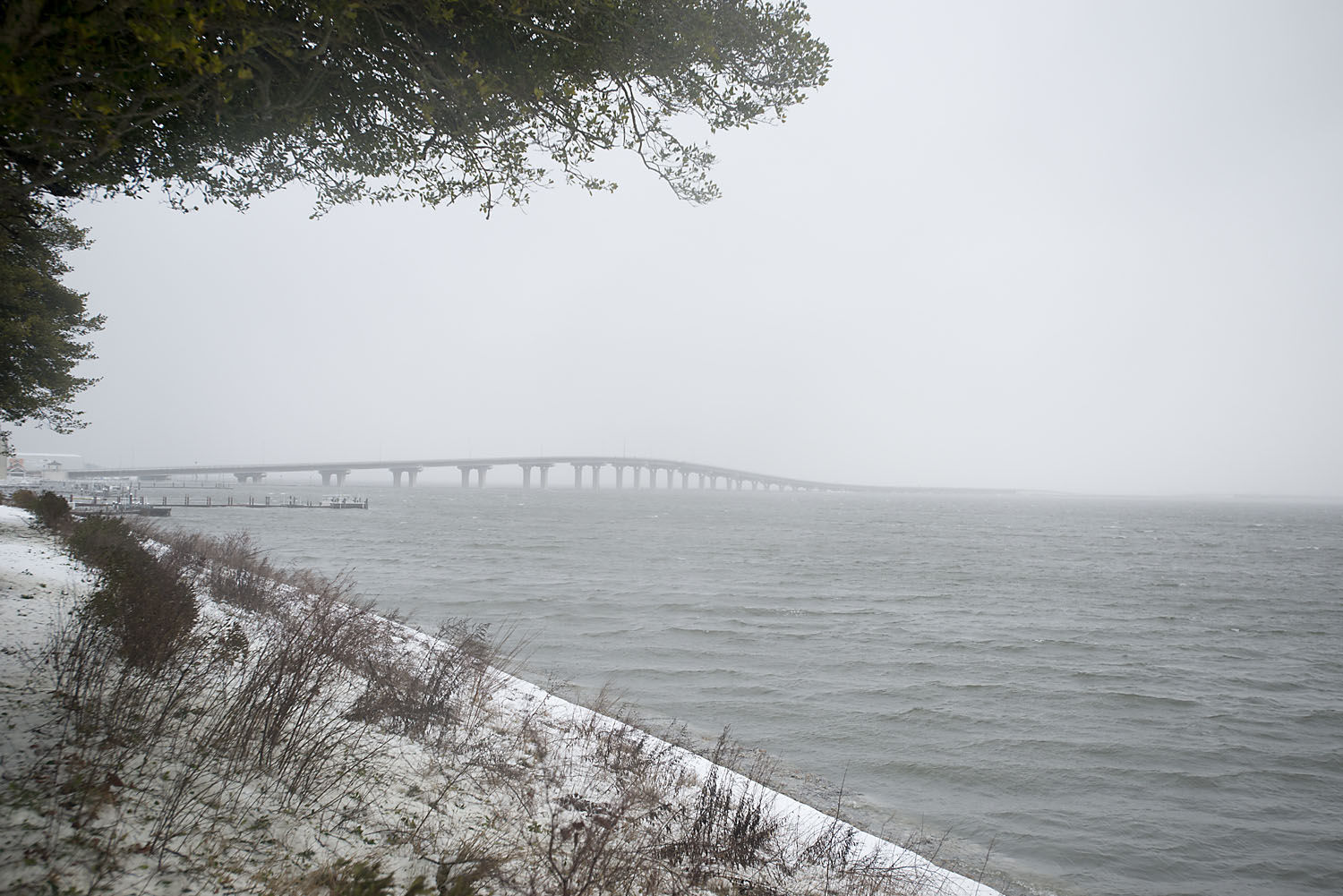 Winter Storm Jonas Photos: Saturday, January 23, 2016 | News ...