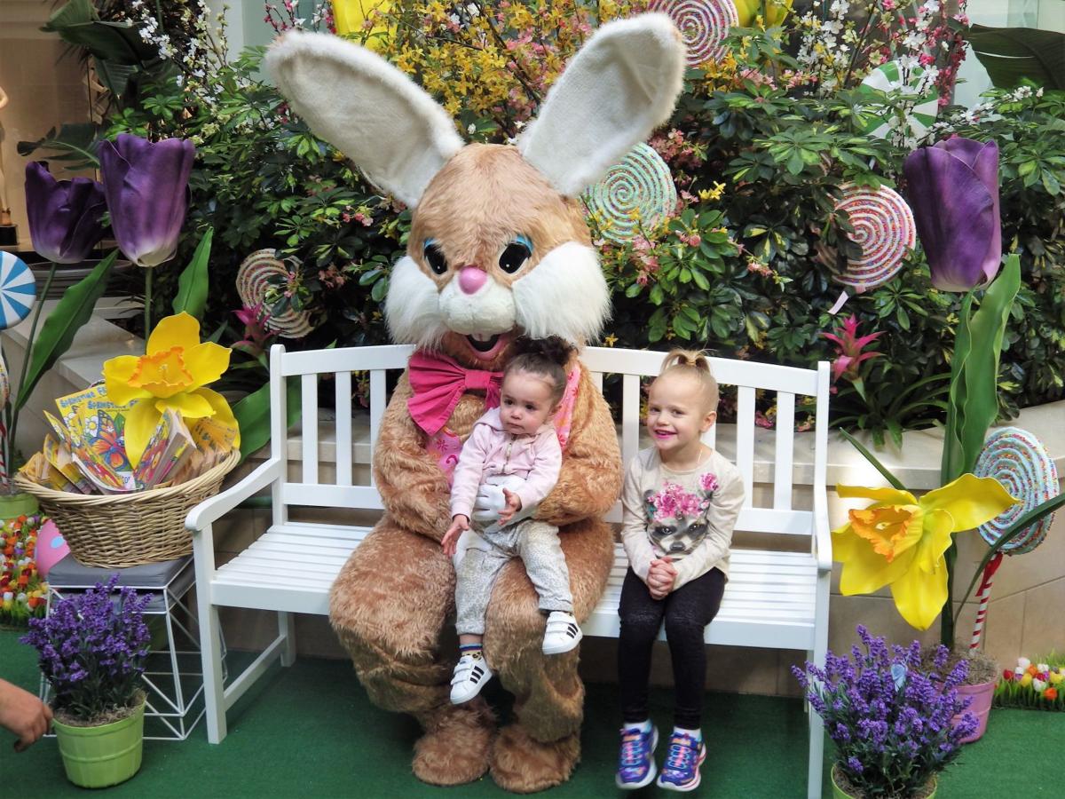 Photos from the Easter Bunny's arrival at Hamilton Mall Photo
