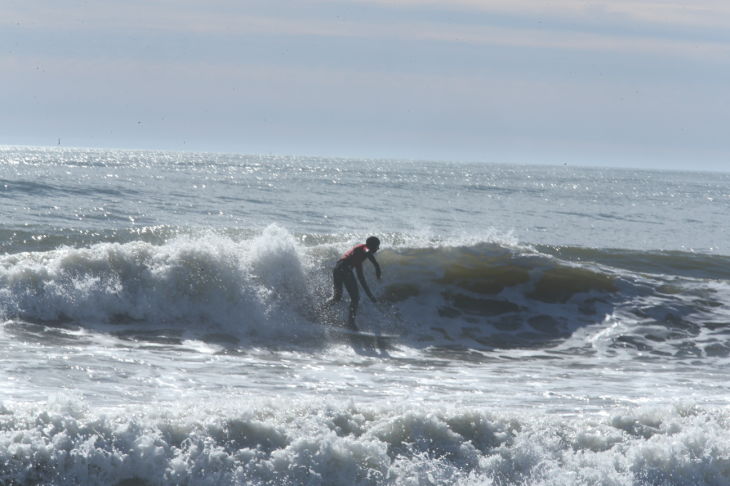SURFING FOR CANCER