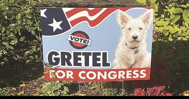 Playful politics: Dog siblings Hansel, Gretel run for office | News