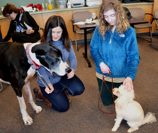 how do you add up dog years