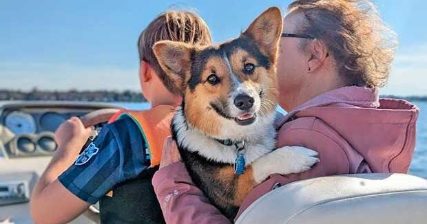 Foster failure’ turns into lake best friend