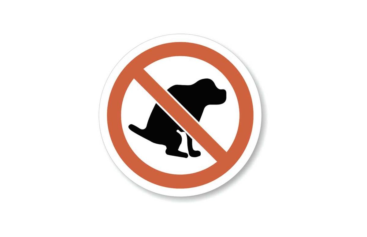 Proper pet waste disposal helps protect waterways | News | presspubs.com