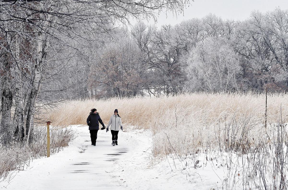 Frosted-Landscape-Tamarack-Walkers2.jpg