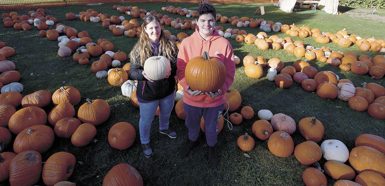 pumpkin patch big bear lake