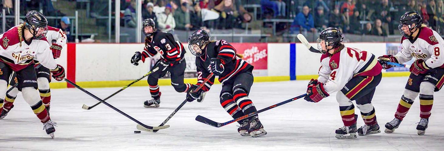 Girls hockey: Cougars lose section title game to Maple Grove ...