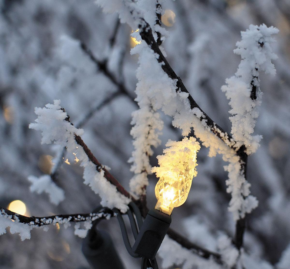 Frosted-Landscape-Lights1.jpg