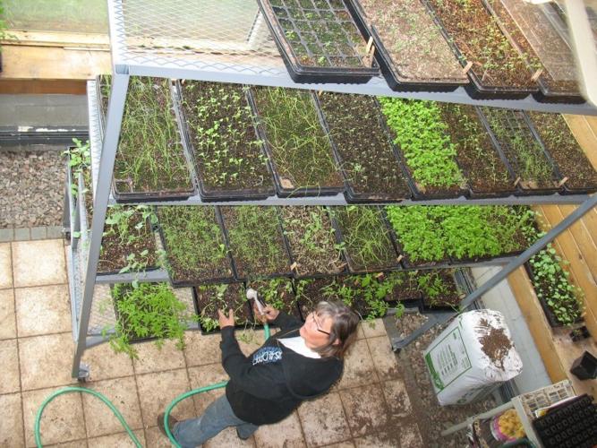 Morrisons launch community supported farm effort News