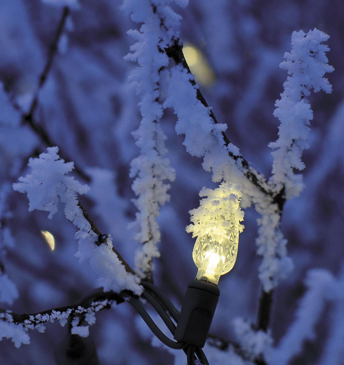 Frosted-Landscape-Lights2.jpg