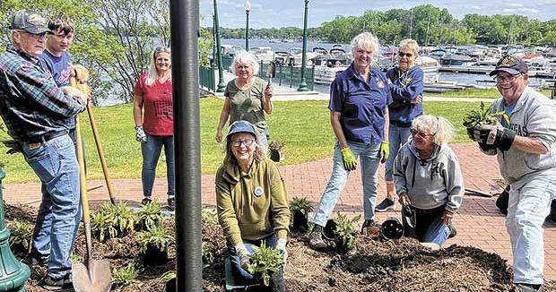 From battlefield symbol to blooming tribute