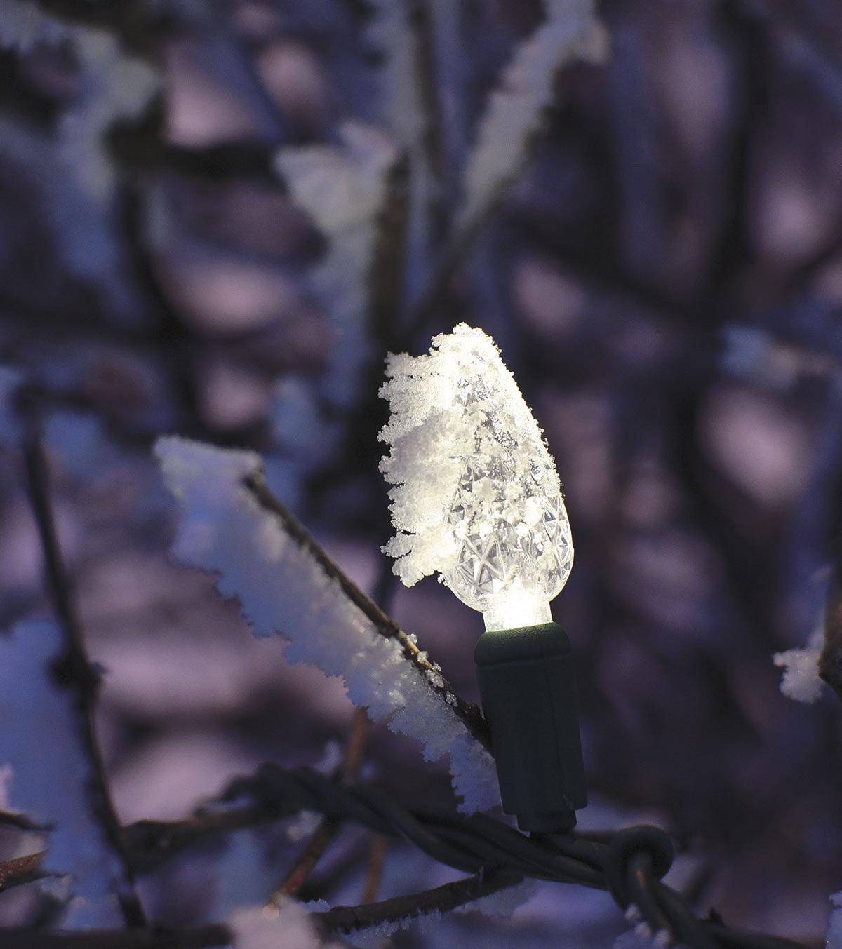 Frosted-Landscape-Lights4.jpg