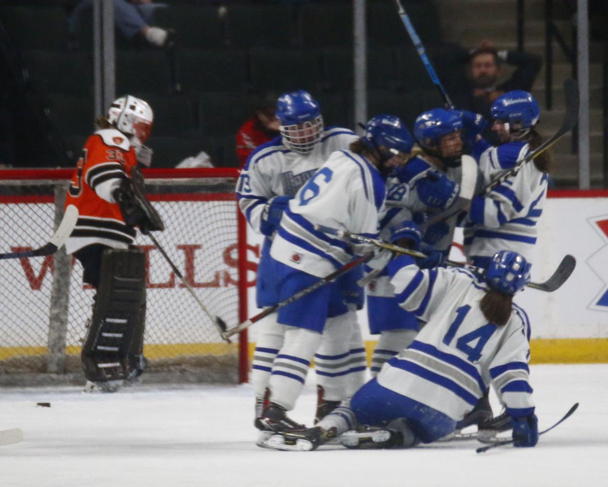 Hockey: White Bear girls shackled at state by Brainerd/Little ...